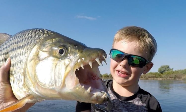 5 Day Tiger Fishing Package at Kubu And Kwena Lodge
